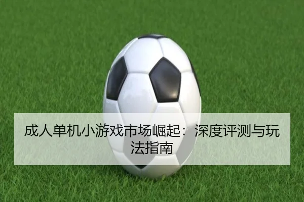 成人单机小游戏市场崛起:深度评测与玩法指南