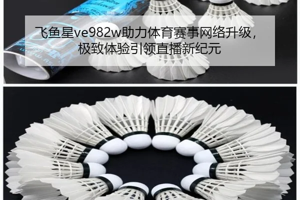 飞鱼星ve982w助力体育赛事网络升级,极致体验引领直播新纪元