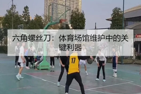 六角螺丝刀：体育场馆维护中的关键利器